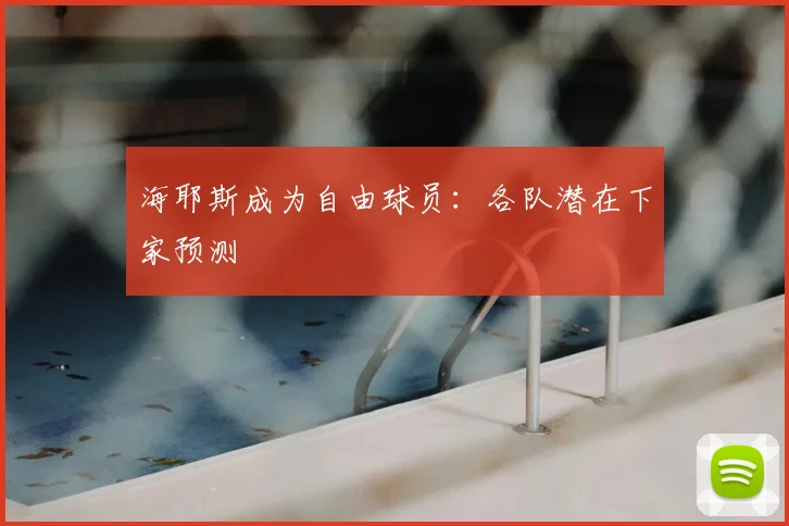 海耶斯成为自由球员:各队潜在下家预测