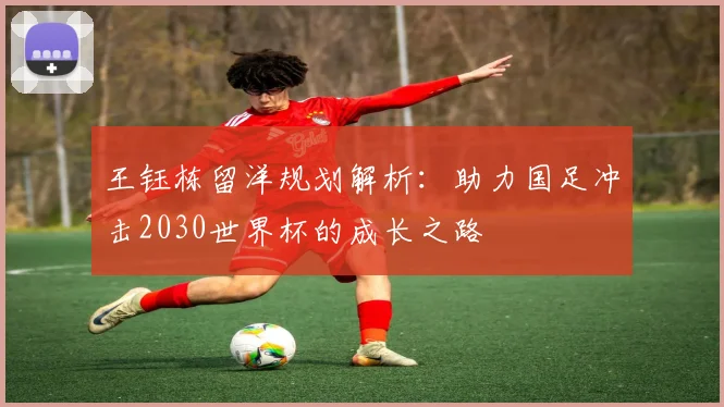 王钰栋留洋规划解析:助力国足冲击2030世界杯的成长之路
