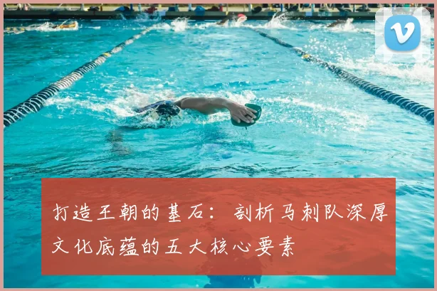 打造王朝的基石:剖析马刺队深厚文化底蕴的五大核心要素